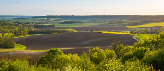 Le prix des terres agricoles en 2016  CMBplus • Cabinets d'expertise